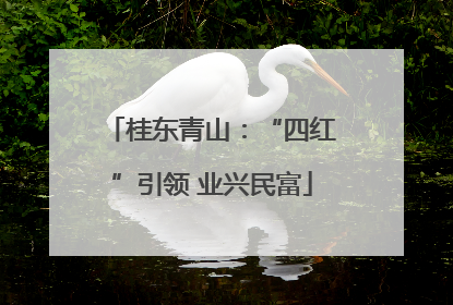 桂东青山：“四红”引领 业兴民富