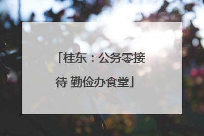 桂东：公务零接待 勤俭办食堂