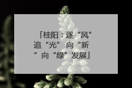 桂阳：逐“风”追“光” 向“新”向“绿”发展