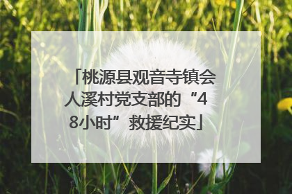 桃源县观音寺镇会人溪村党支部的“48小时”救援纪实