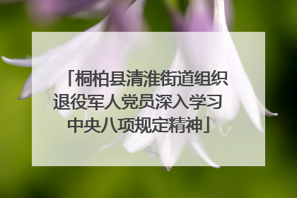 桐柏县清淮街道组织退役军人党员深入学习中央八项规定精神