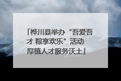 桦川县举办“吾爱吾才 粽享欢乐”活动 厚植人才服务沃土