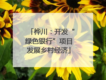 桦川：开发“绿色银行”项目发展乡村经济