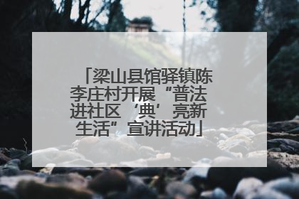 梁山县馆驿镇陈李庄村开展“普法进社区‘典’亮新生活”宣讲活动