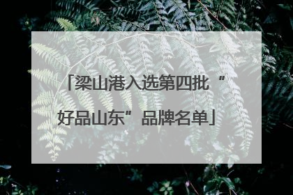 梁山港入选第四批“好品山东”品牌名单