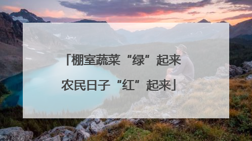棚室蔬菜“绿”起来 农民日子“红”起来