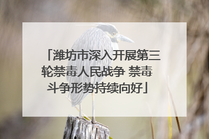 潍坊市深入开展第三轮禁毒人民战争 禁毒斗争形势持续向好