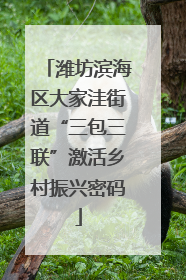 潍坊滨海区大家洼街道“三包三联”激活乡村振兴密码