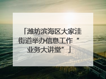 潍坊滨海区大家洼街道举办信息工作“业务大讲堂”