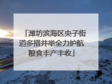 潍坊滨海区央子街道多措并举全力护航粮食丰产丰收