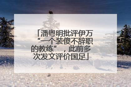 潘粤明批评伊万“一个装傻不辞职的教练”，此前多次发文评价国足