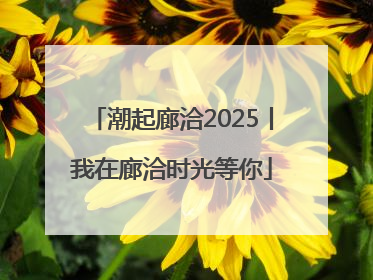 潮起廊洽2025丨我在廊洽时光等你