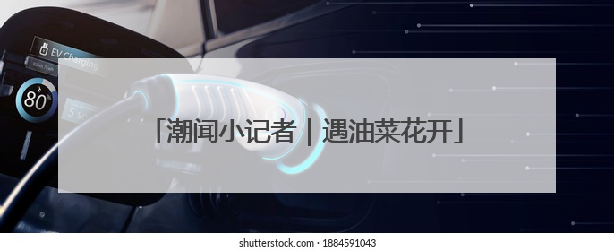 潮闻小记者｜遇油菜花开