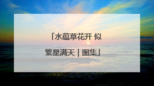 水蕴草花开 似繁星满天｜图集