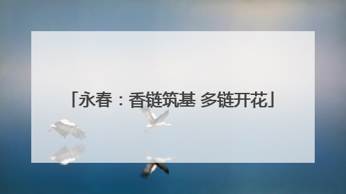 永春：香链筑基 多链开花