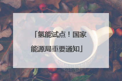氢能试点！国家能源局重要通知