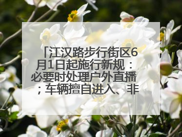 江汉路步行街区6月1日起施行新规：必要时处理户外直播；车辆擅自进入、非机动车任意停放的，依法处理