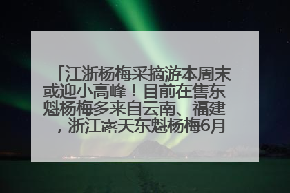 江浙杨梅采摘游本周末或迎小高峰！目前在售东魁杨梅多来自云南、福建，浙江露天东魁杨梅6月中旬大量上市
