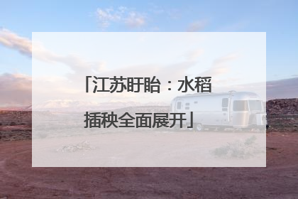 江苏盱眙：水稻插秧全面展开