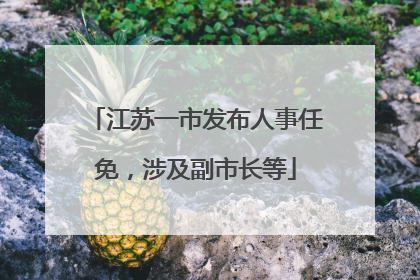 江苏一市发布人事任免，涉及副市长等