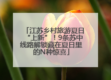 江苏乡村旅游夏日“上新”！9条苏中线路解锁藏在夏日里的N种惊喜