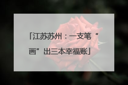 江苏苏州：一支笔“画”出三本幸福账