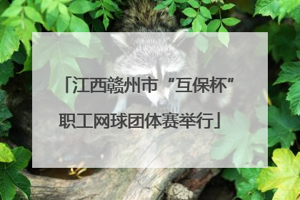 江西赣州市“互保杯”职工网球团体赛举行