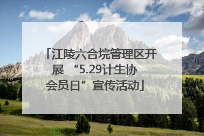 江陵六合垸管理区开展 “5.29计生协会员日”宣传活动