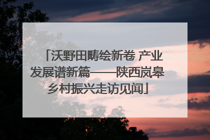 沃野田畴绘新卷 产业发展谱新篇——陕西岚皋乡村振兴走访见闻