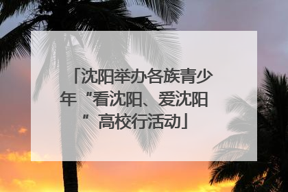 沈阳举办各族青少年“看沈阳、爱沈阳”高校行活动
