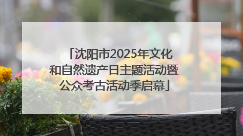 沈阳市2025年文化和自然遗产日主题活动暨公众考古活动季启幕