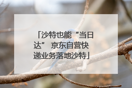 沙特也能“当日达” 京东自营快递业务落地沙特