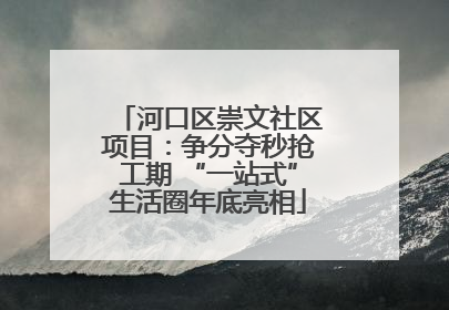 河口区崇文社区项目：争分夺秒抢工期 “一站式”生活圈年底亮相