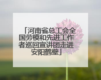 河南省总工会全国劳模和先进工作者巡回宣讲团走进安阳鹤壁
