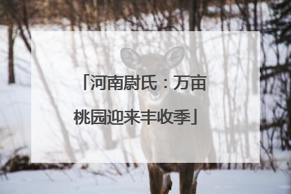 河南尉氏：万亩桃园迎来丰收季
