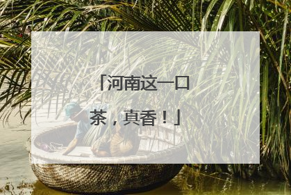 河南这一口茶，真香！