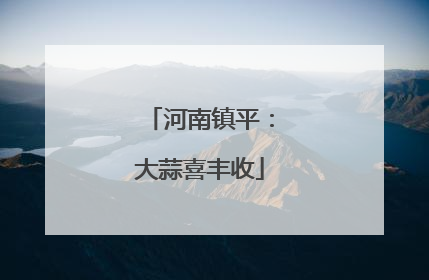 河南镇平：大蒜喜丰收