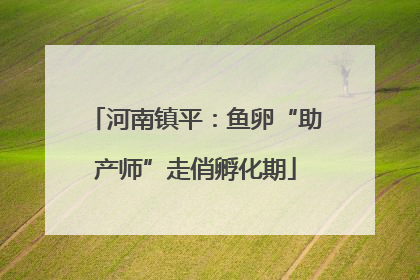 河南镇平：鱼卵“助产师”走俏孵化期