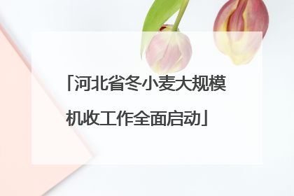 河北省冬小麦大规模机收工作全面启动