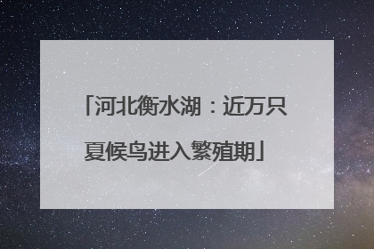 河北衡水湖：近万只夏候鸟进入繁殖期