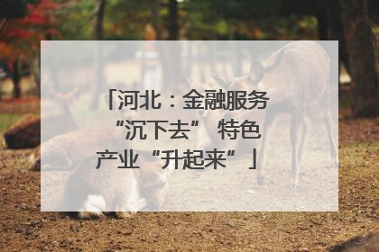 河北：金融服务“沉下去” 特色产业“升起来”