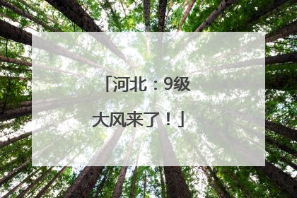 河北：9级大风来了！
