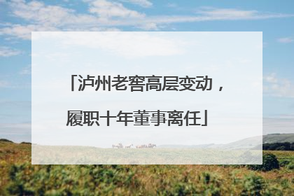 泸州老窖高层变动，履职十年董事离任