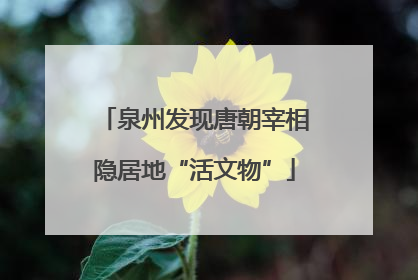 泉州发现唐朝宰相隐居地“活文物”