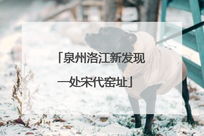 泉州洛江新发现一处宋代窑址