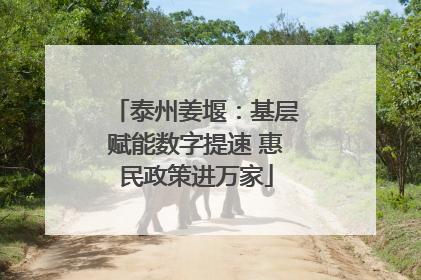 泰州姜堰：基层赋能数字提速 惠民政策进万家