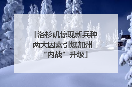 洛杉矶惊现新兵种 两大因素引爆加州“内战”升级
