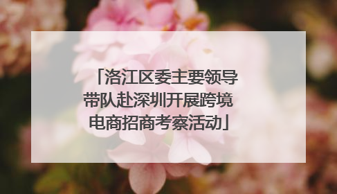 洛江区委主要领导带队赴深圳开展跨境电商招商考察活动