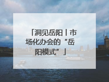 洞见岳阳丨市场化办会的“岳阳模式”