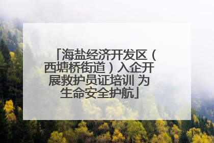 海盐经济开发区（西塘桥街道）入企开展救护员证培训 为生命安全护航